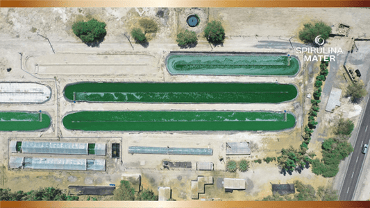¿Quienes Somos? - Spirulina Mater