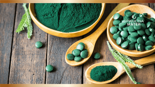 ¿Qué es la Spirulina? - Spirulina Mater