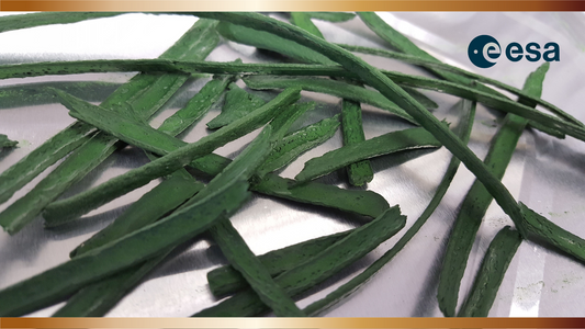 Aire fresco para los Astronautas por "ESA" - Spirulina Mater