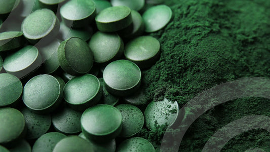 Sistema de Producción - Spirulina Mater
