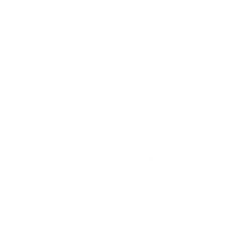 Logo de empresa spiral spring de mexico