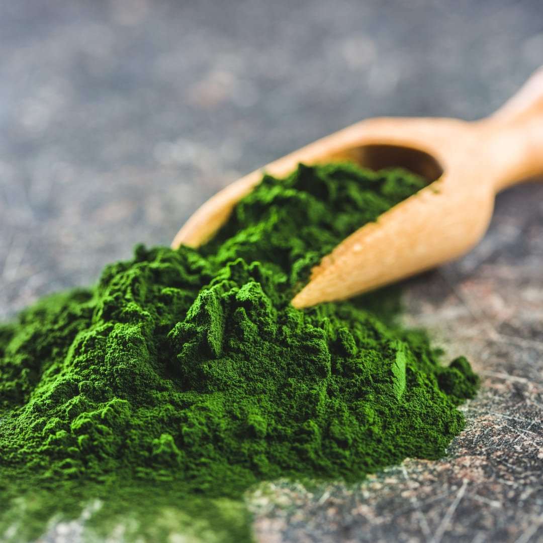 Spirulina + Chlorella en Polvo 200g - Spirulina Mater