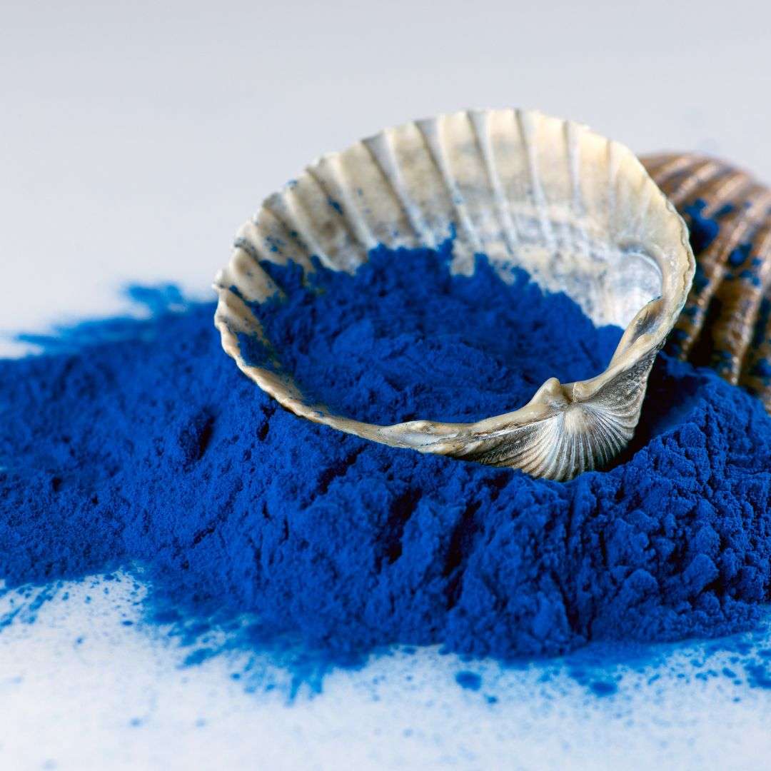 Spirulina Azul en Polvo 30g | Ficocianina 100% Chilena - Spirulina Mater