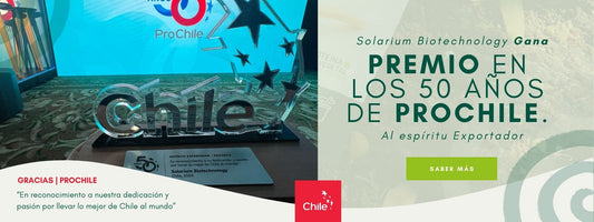 Premio al Espíritu Exportador en los 50 años de ProChile