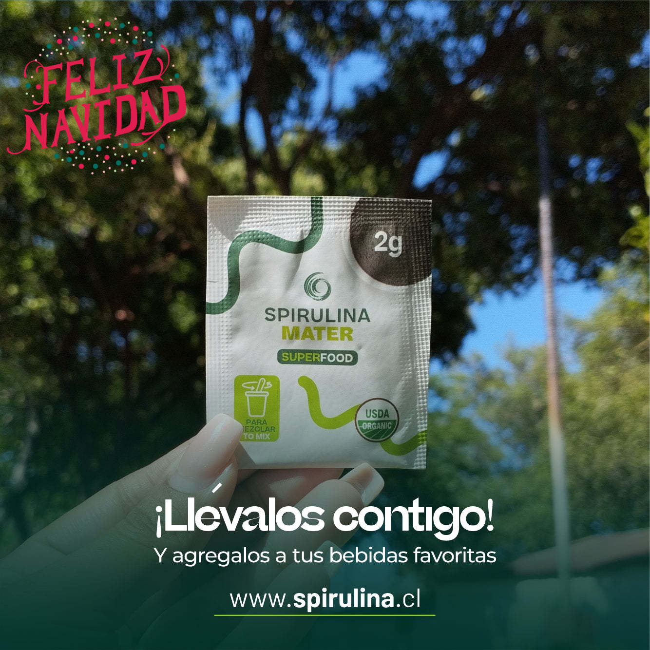 Sachet de Spirulina en polvo organica de 2 gramos 100% chilena